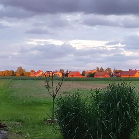 Zlota Pasieka Zator Przeciszow エクステリア 写真